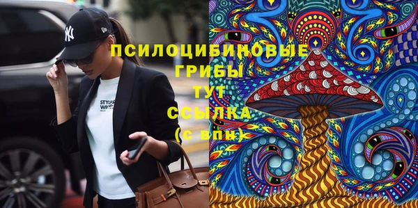 дурь Гусь-Хрустальный