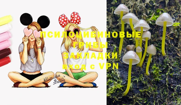 спайс Гусиноозёрск