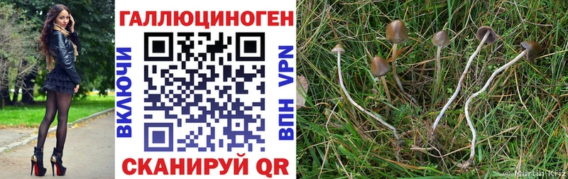 Галлюциногенные грибы Cubensis  Иваново 